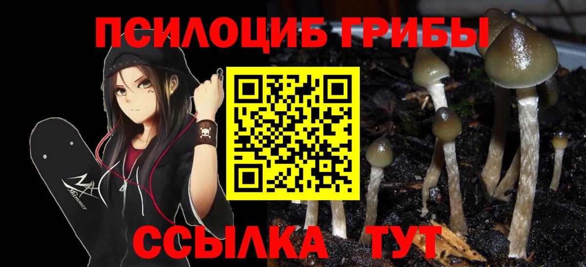 Галлюциногенные грибы Cubensis  Вход с VPN  Верхняя Салда 